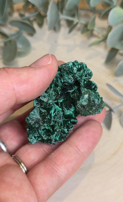 Malachite velour brute de l'Afrique