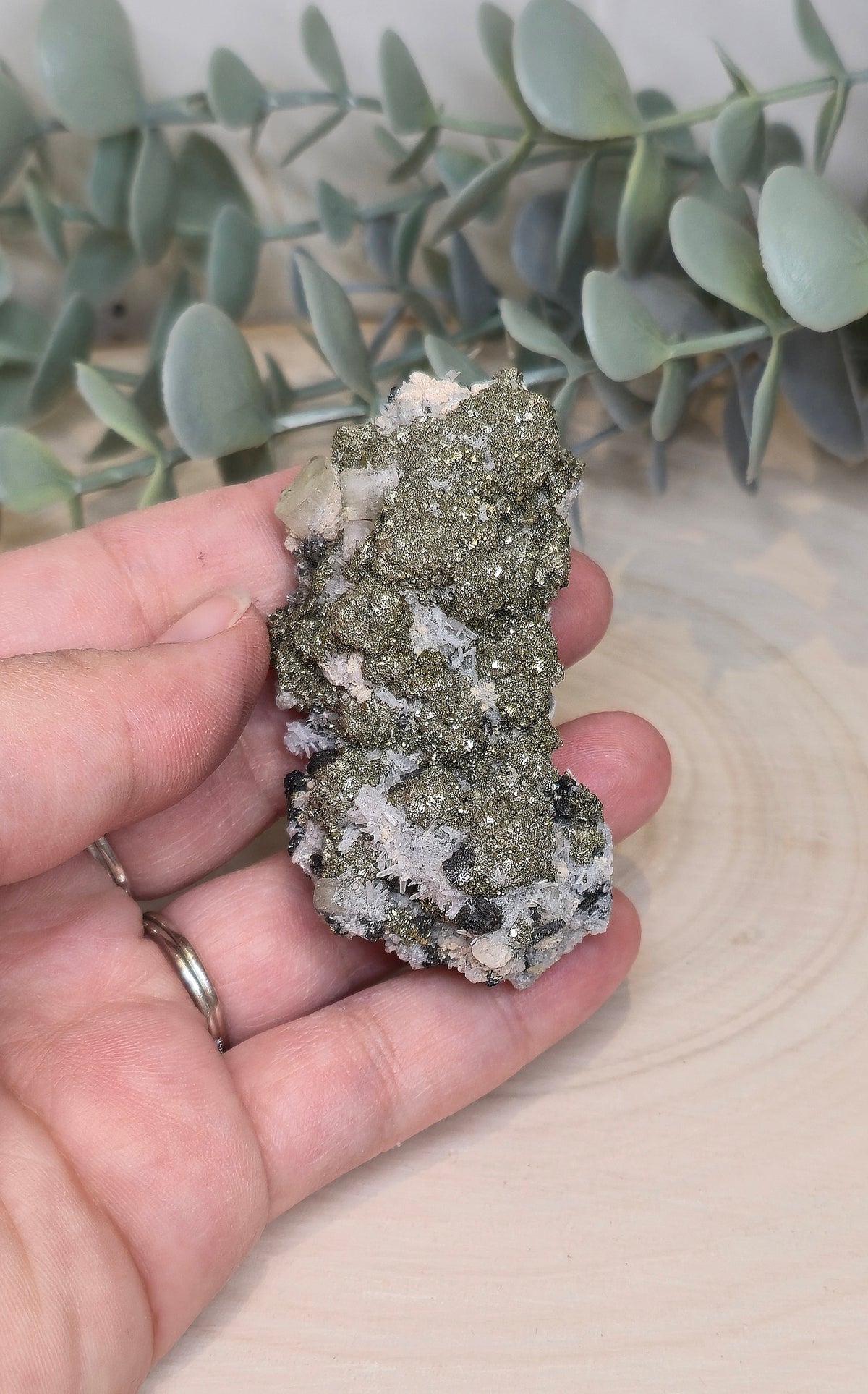 Pyrite dans Quartz brute