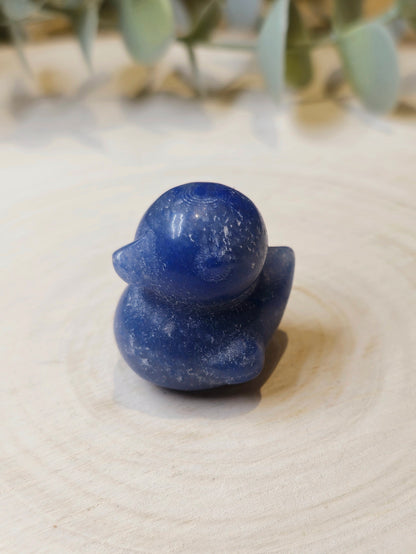 Canard Aventurine bleue