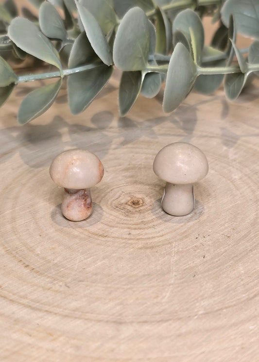 Champignon en Jaspe veiné