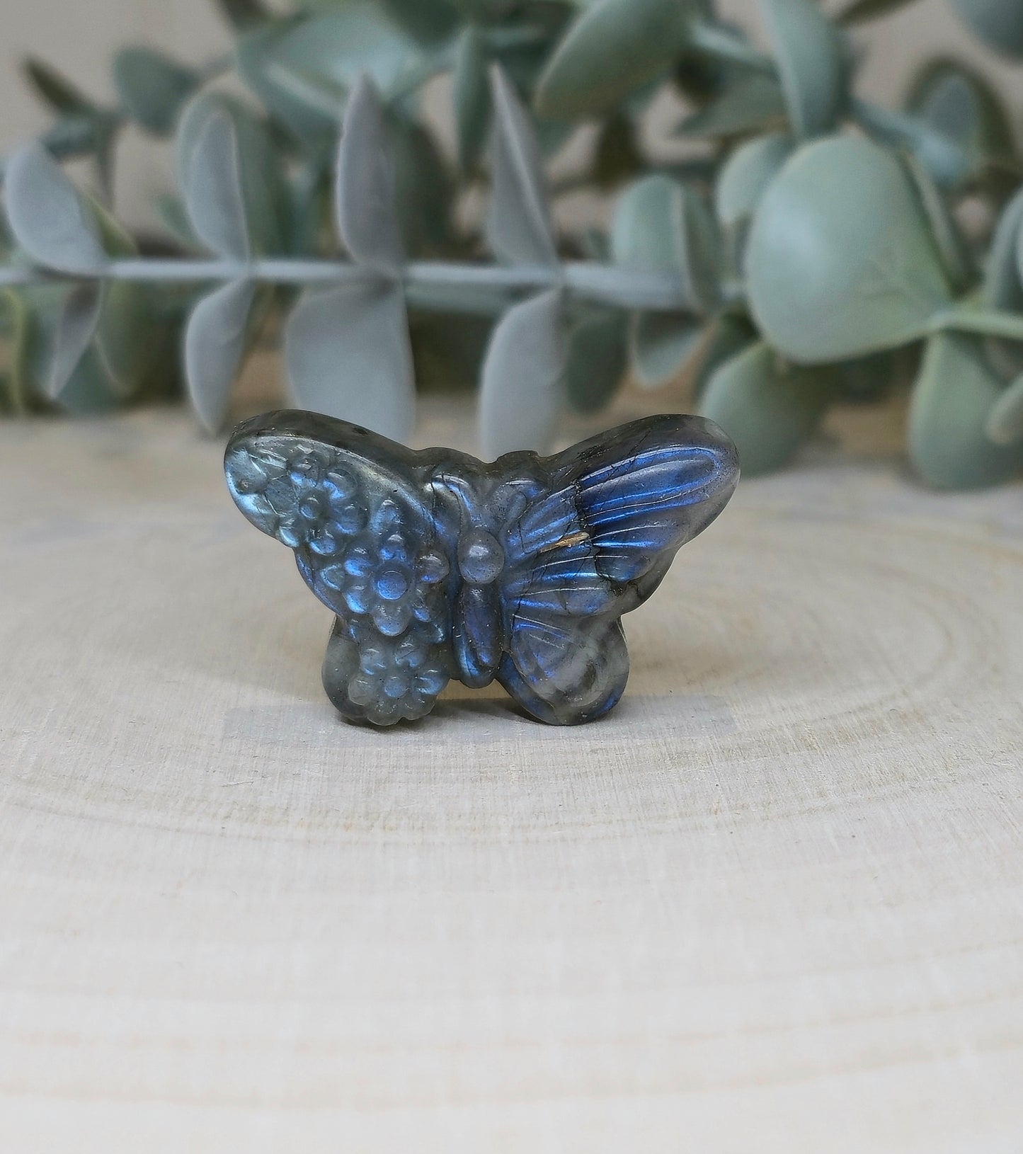 Papillon et fleurs en Labradorite