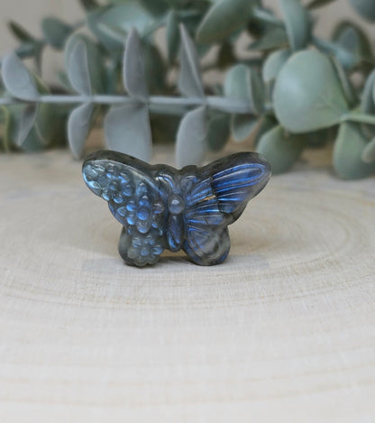 Papillon et fleurs en Labradorite