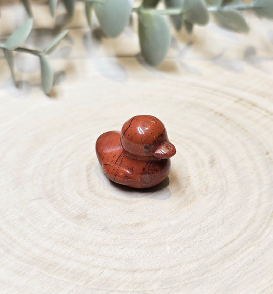 Canard Jaspe Rouge