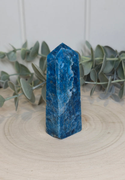 Pointe en Apatite