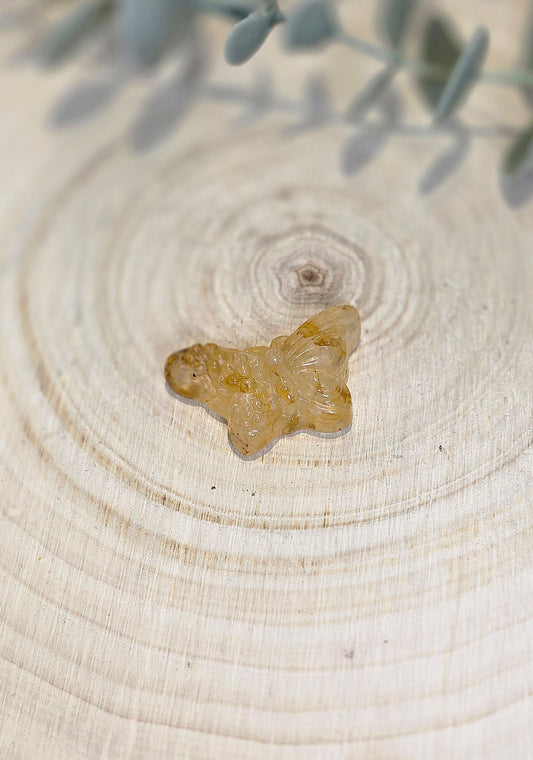 Papillon et fleurs en Golden Healer