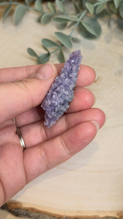 Agate raisin brute