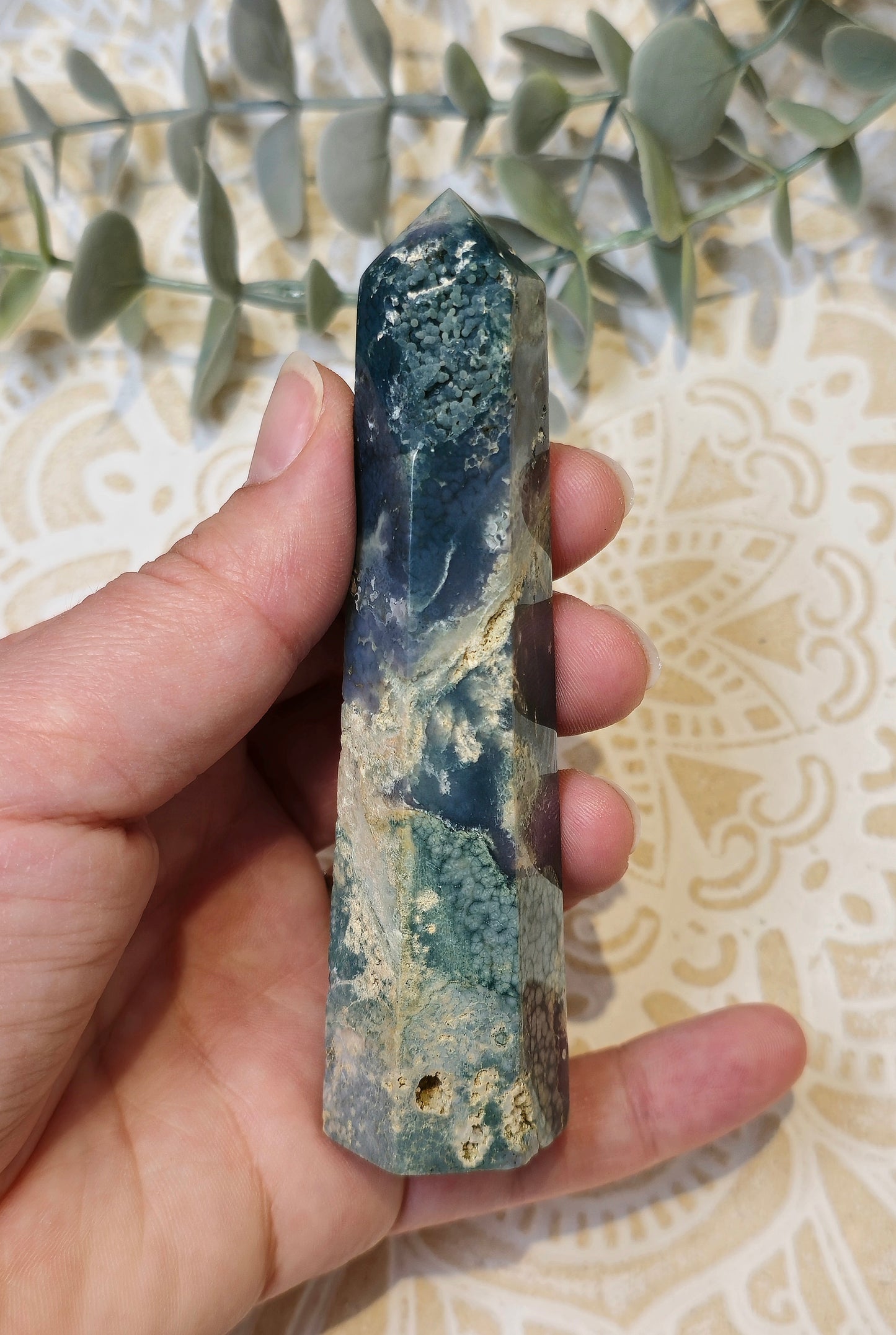Pointe Agate raisin