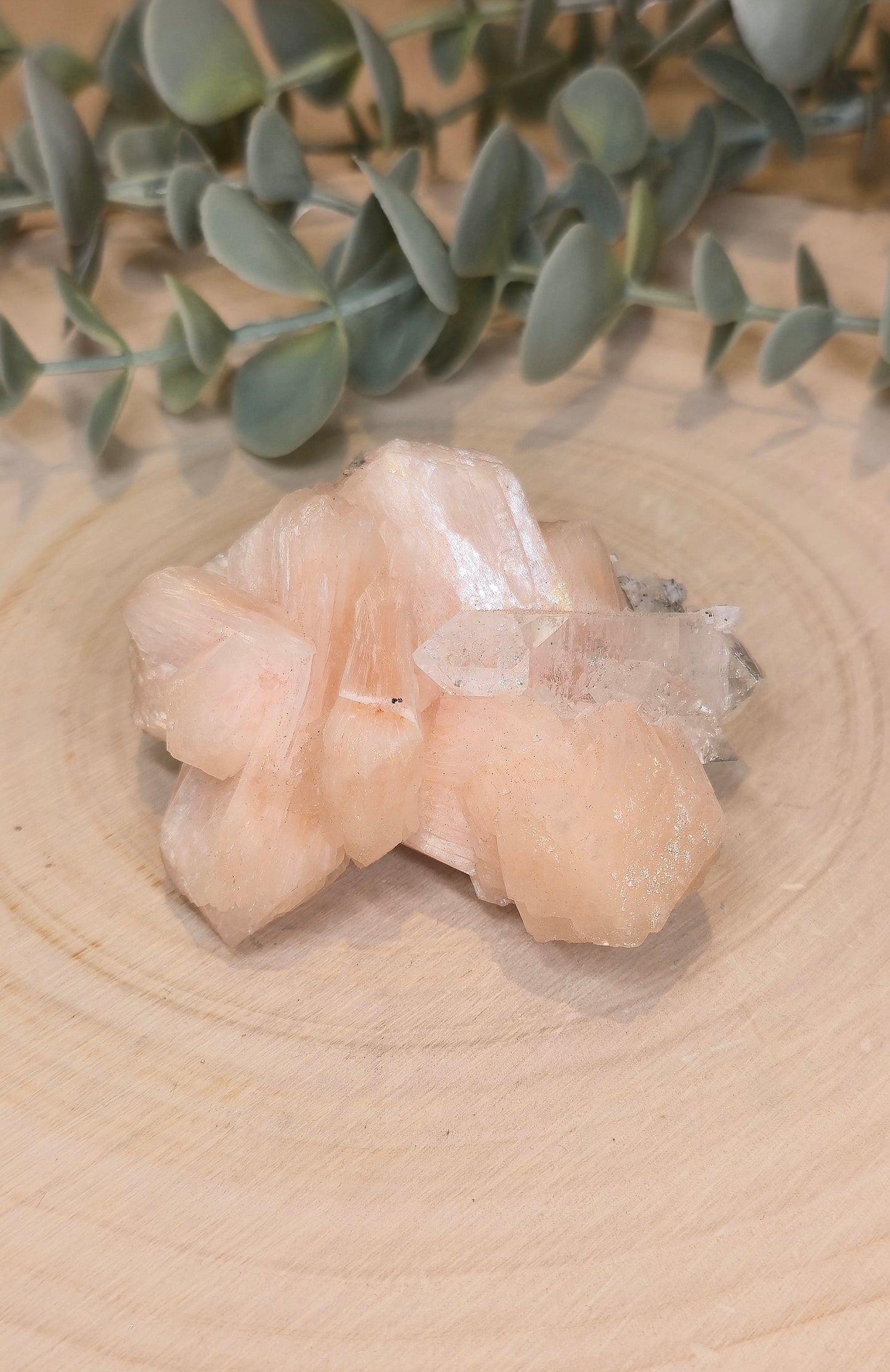 Apophyllite/Stilbite brute d'Inde