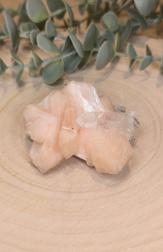 Apophyllite/Stilbite brute d'Inde