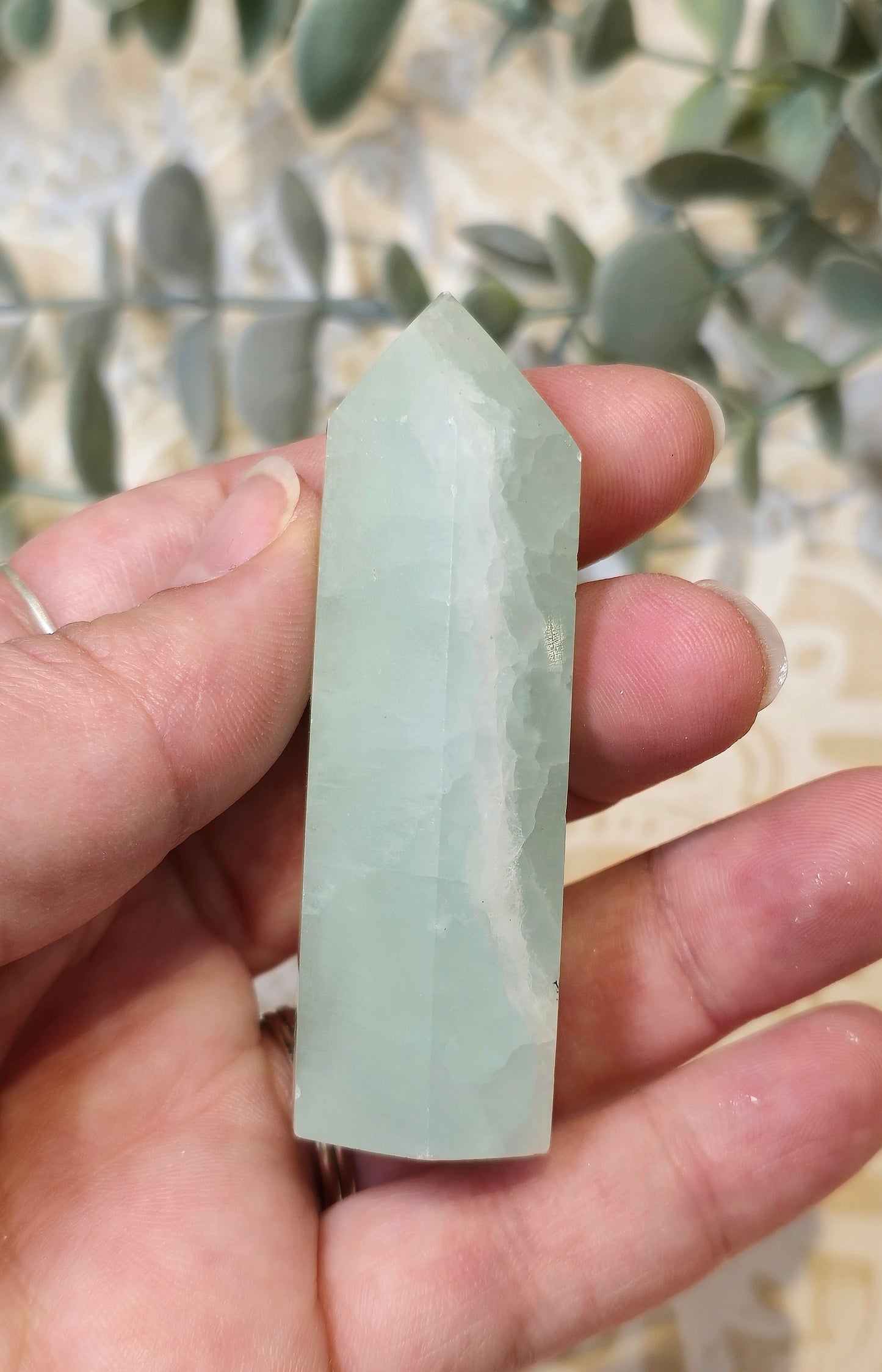 Pointe Calcite des caraïbes