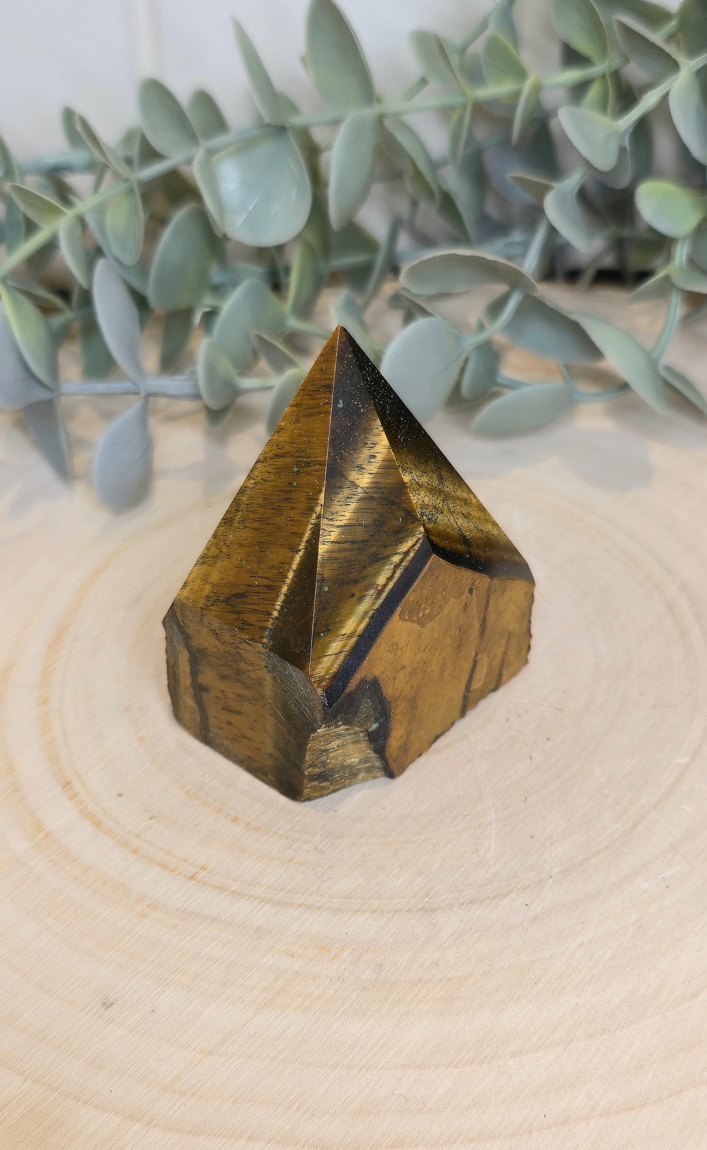 Base Pointe Oeil de tigre