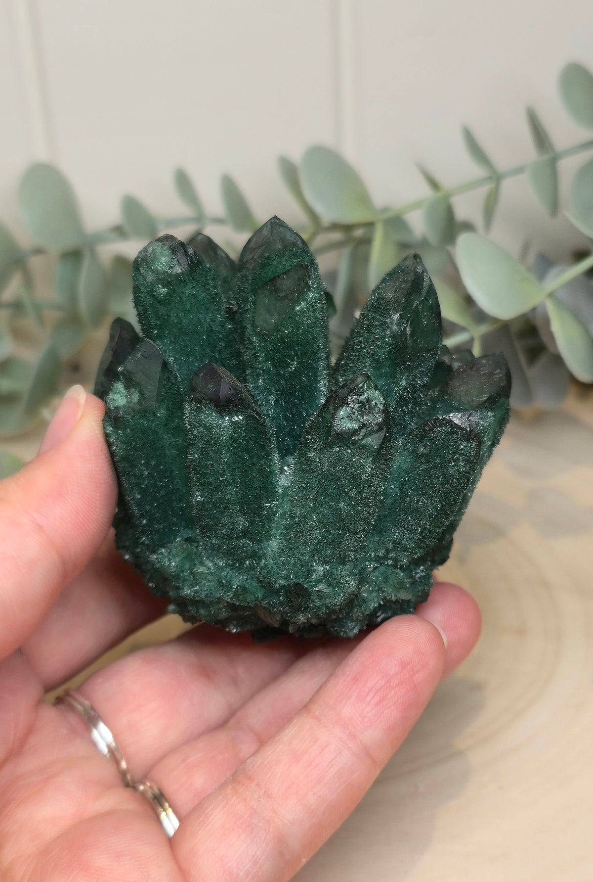 Quartz Chromium vert brute
