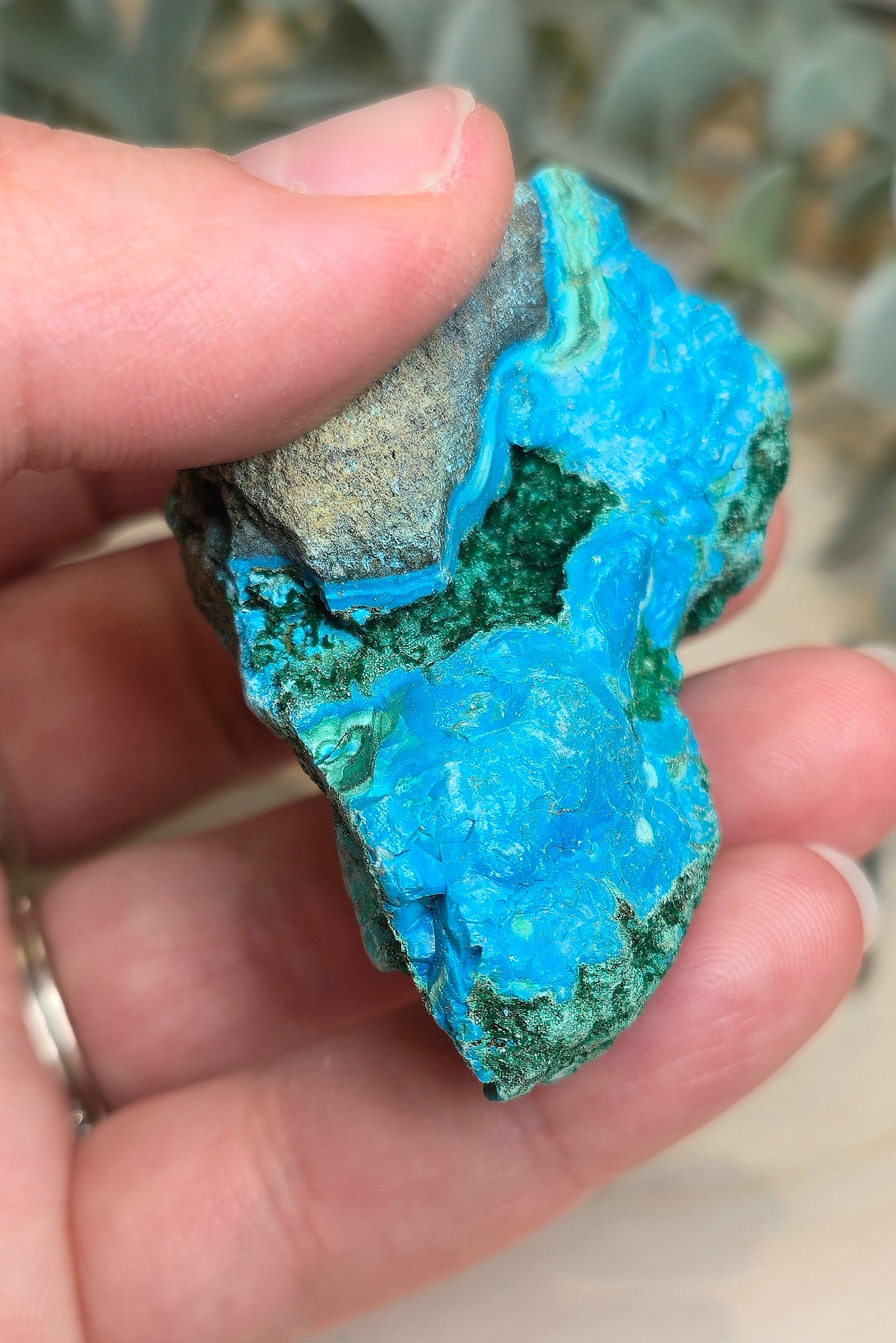 Chrysocolle Malachite du l'Afrique