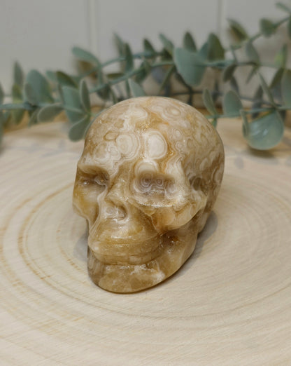 Crâne Agate Fleur ambrée