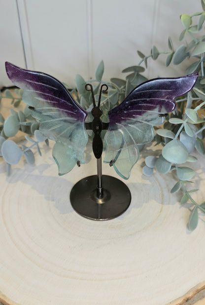 Papillon Fluorite