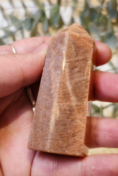 Pointe en Pierre de lune pêche