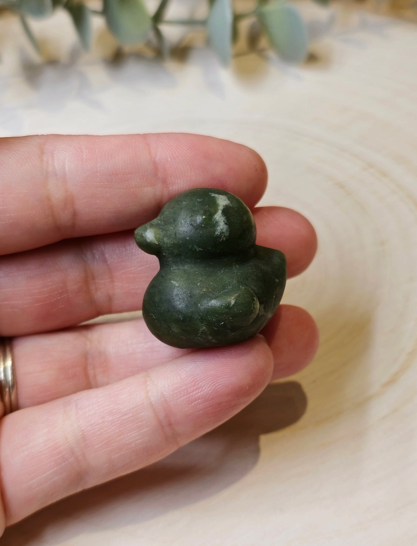 Canard Jade vert