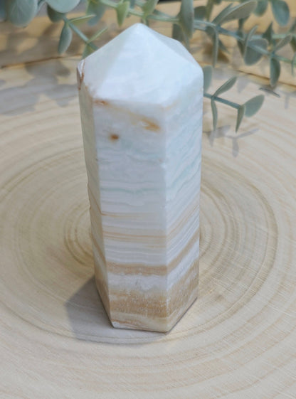Pointe en Calcite des Caraïbes