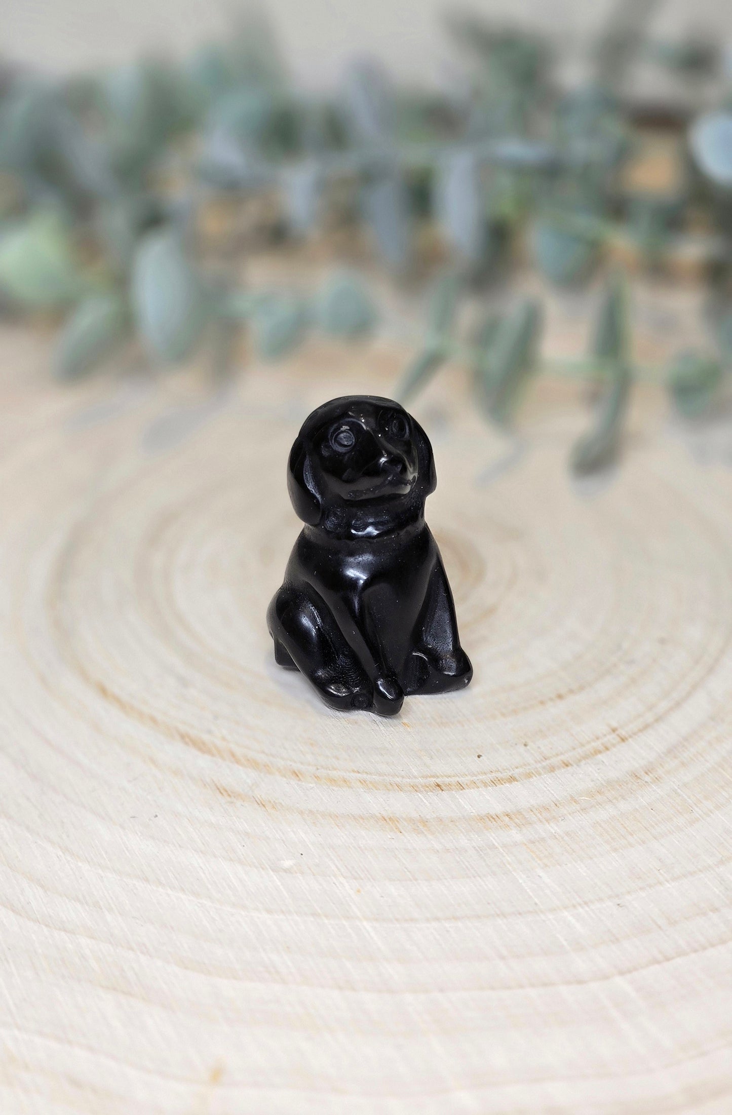 Chien en Obsidienne