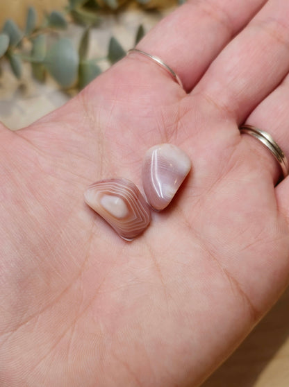 Agate Botswana Rose barattée