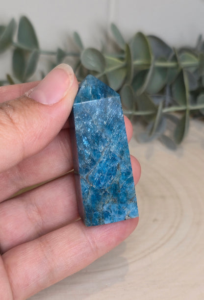 Pointe en Apatite