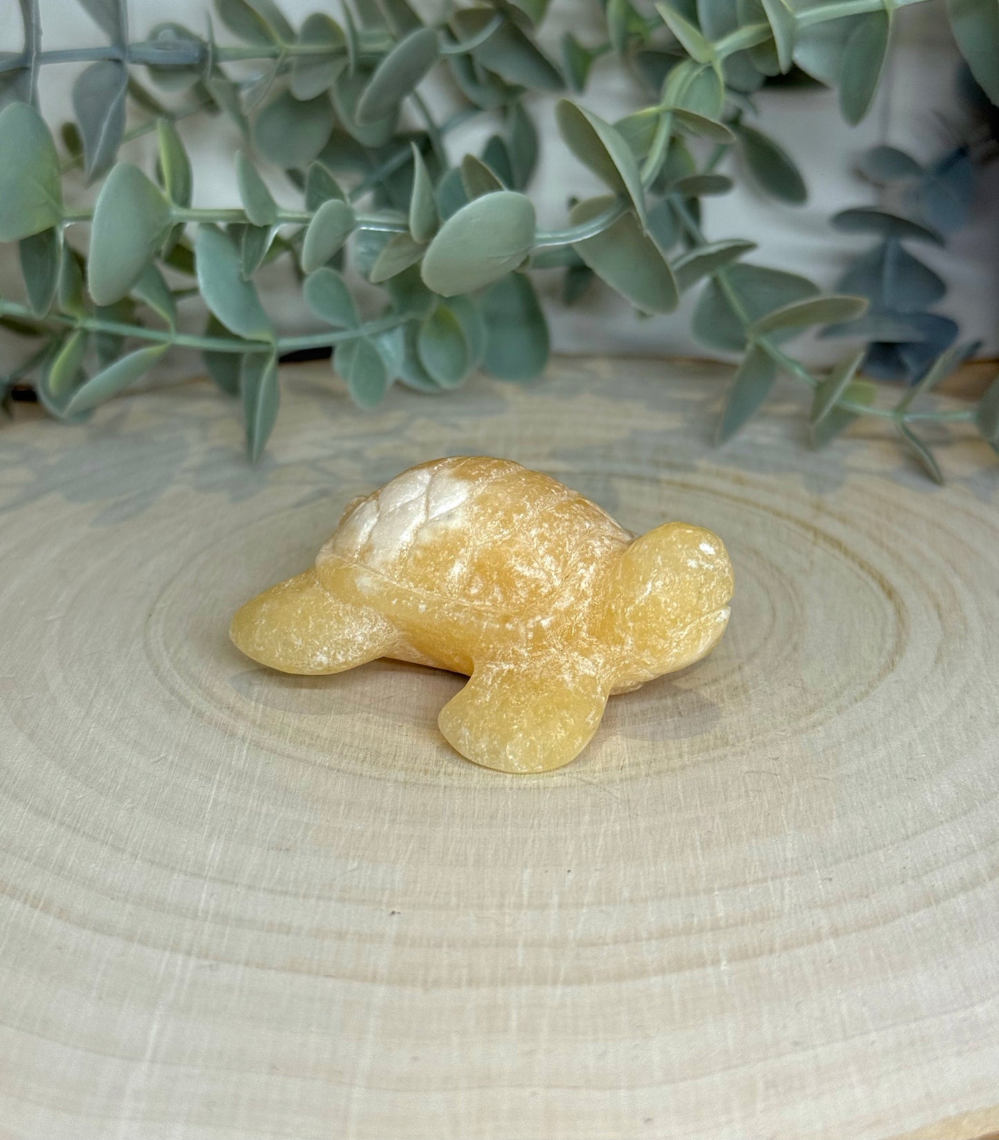 Tortue Calcite jaune