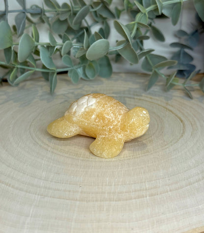 Tortue Calcite jaune