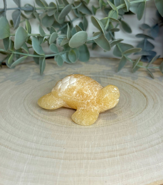 Tortue Calcite jaune