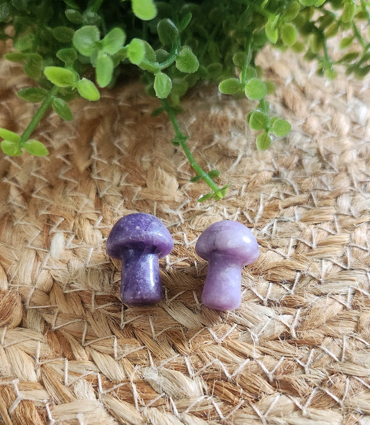 Champignon en Lépidolite