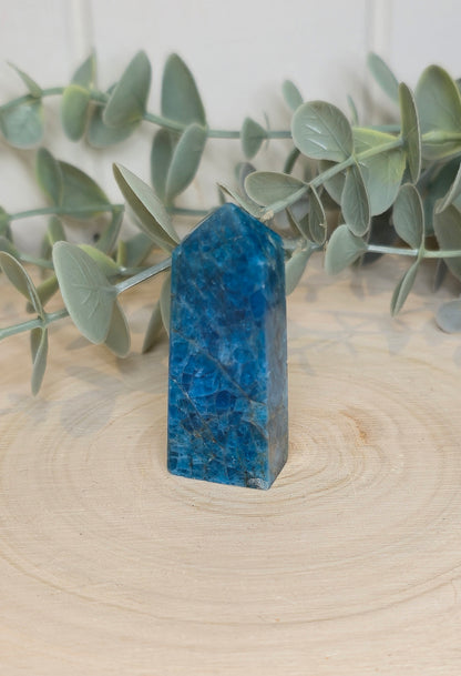Pointe en Apatite