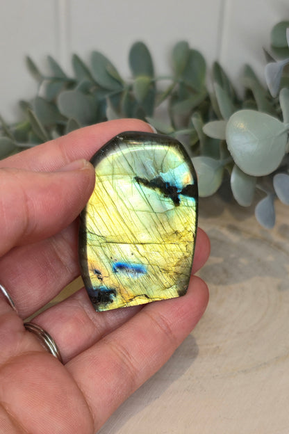 Freeform Labradorite
