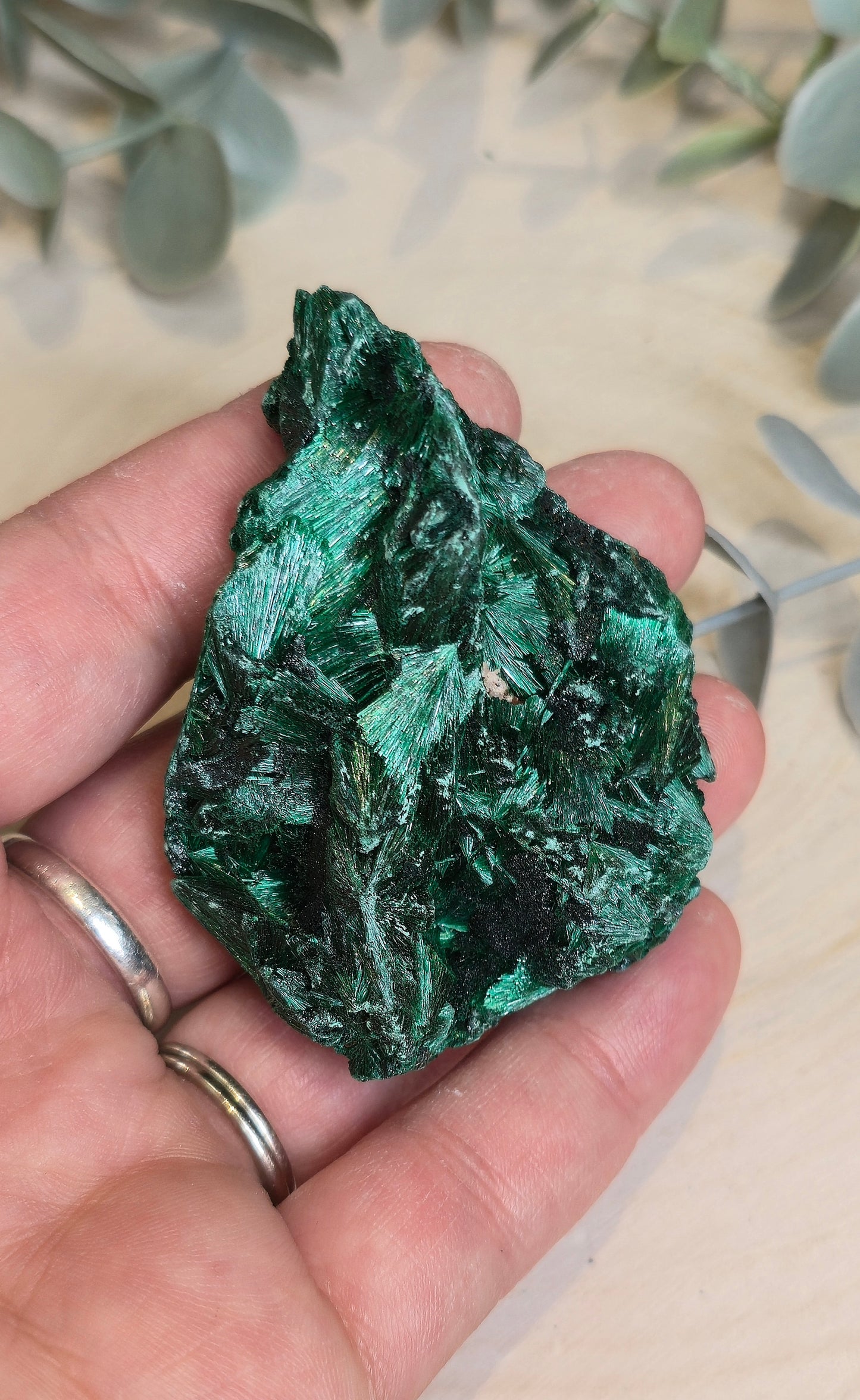 Malachite velour brute de l'Afrique