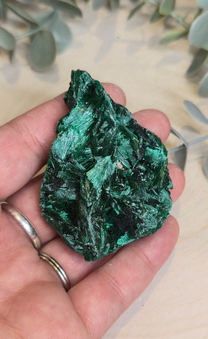 Malachite velour brute de l'Afrique