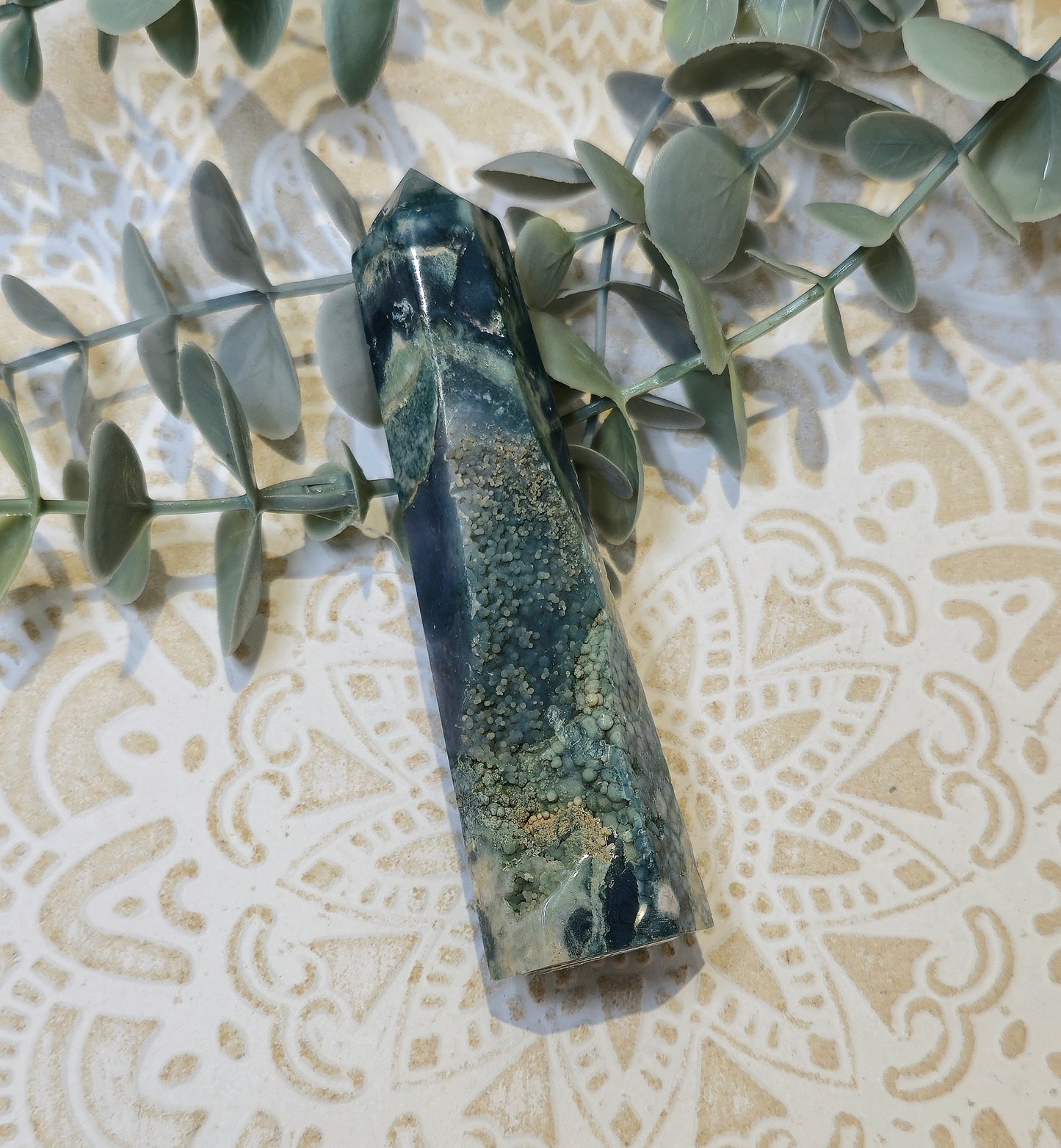 Pointe Agate raisin