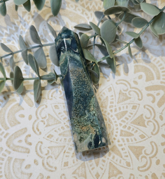 Pointe Agate raisin