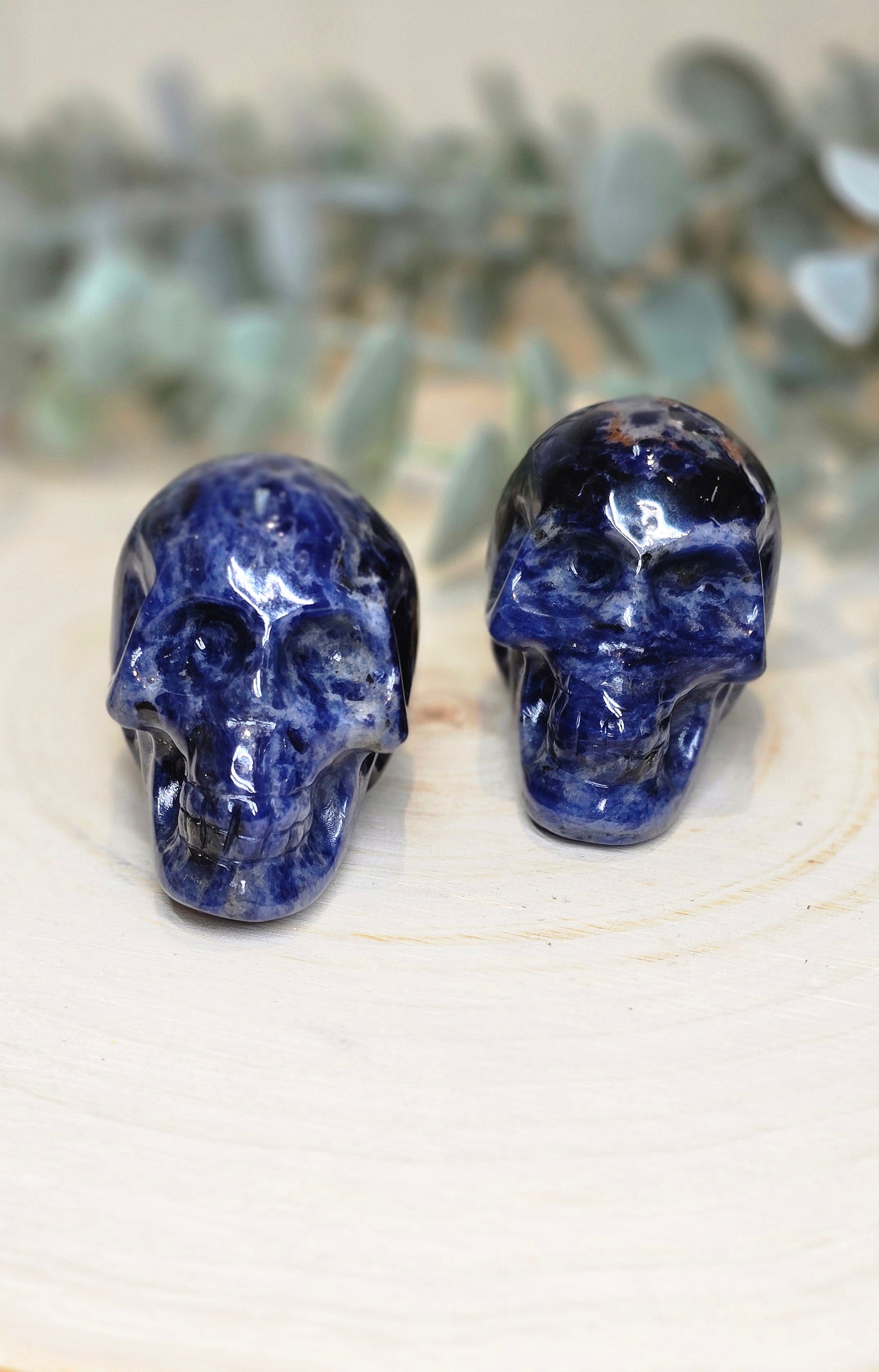 Crâne en Sodalite