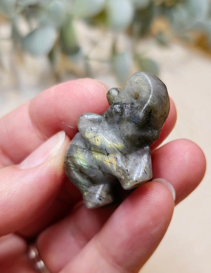 Éléphant Labradorite