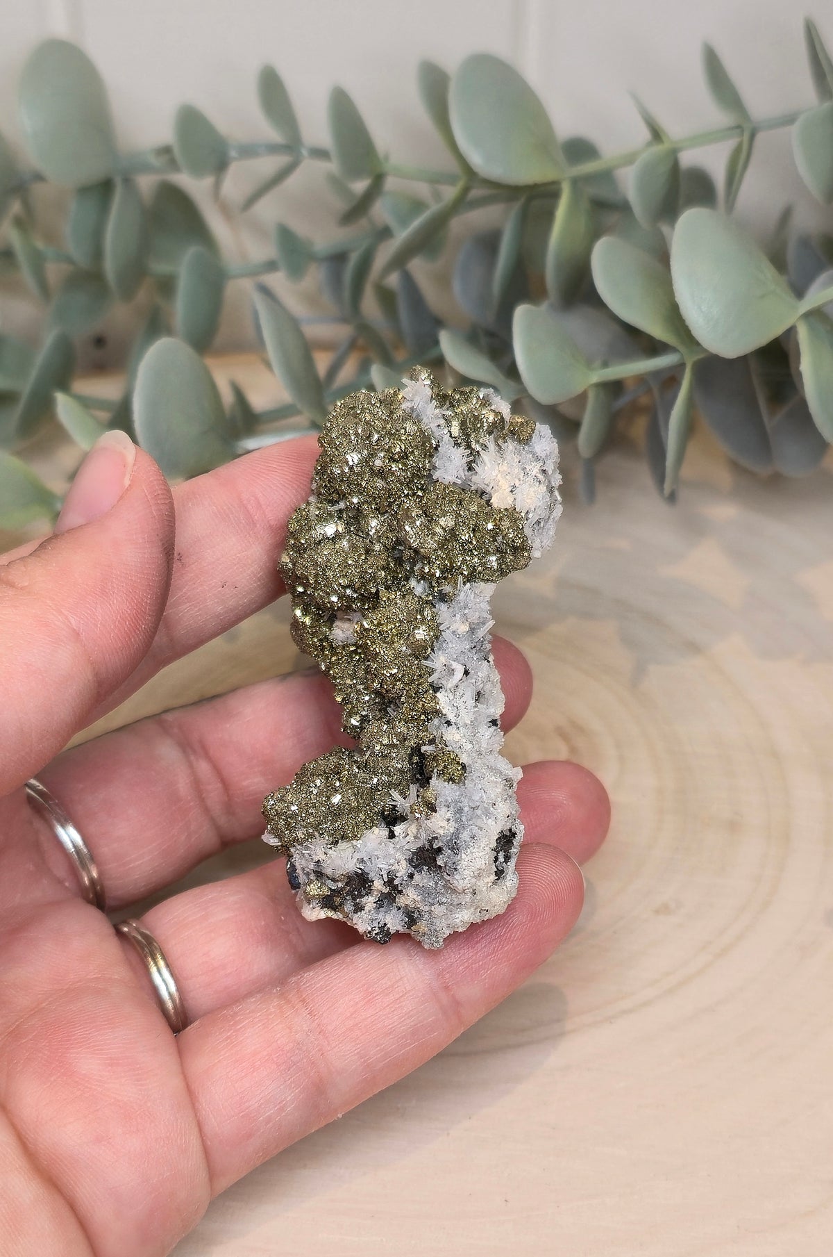 Pyrite dans Quartz brute