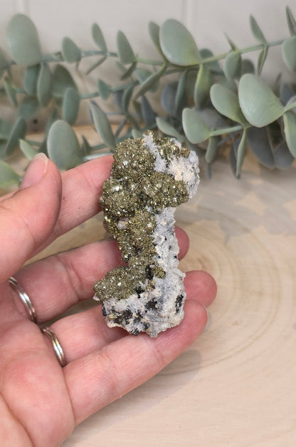 Pyrite dans Quartz brute