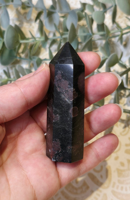 Pointe Grenat dans Astrophyllite