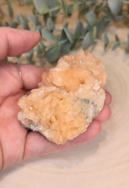 Stilbite brute d’Inde