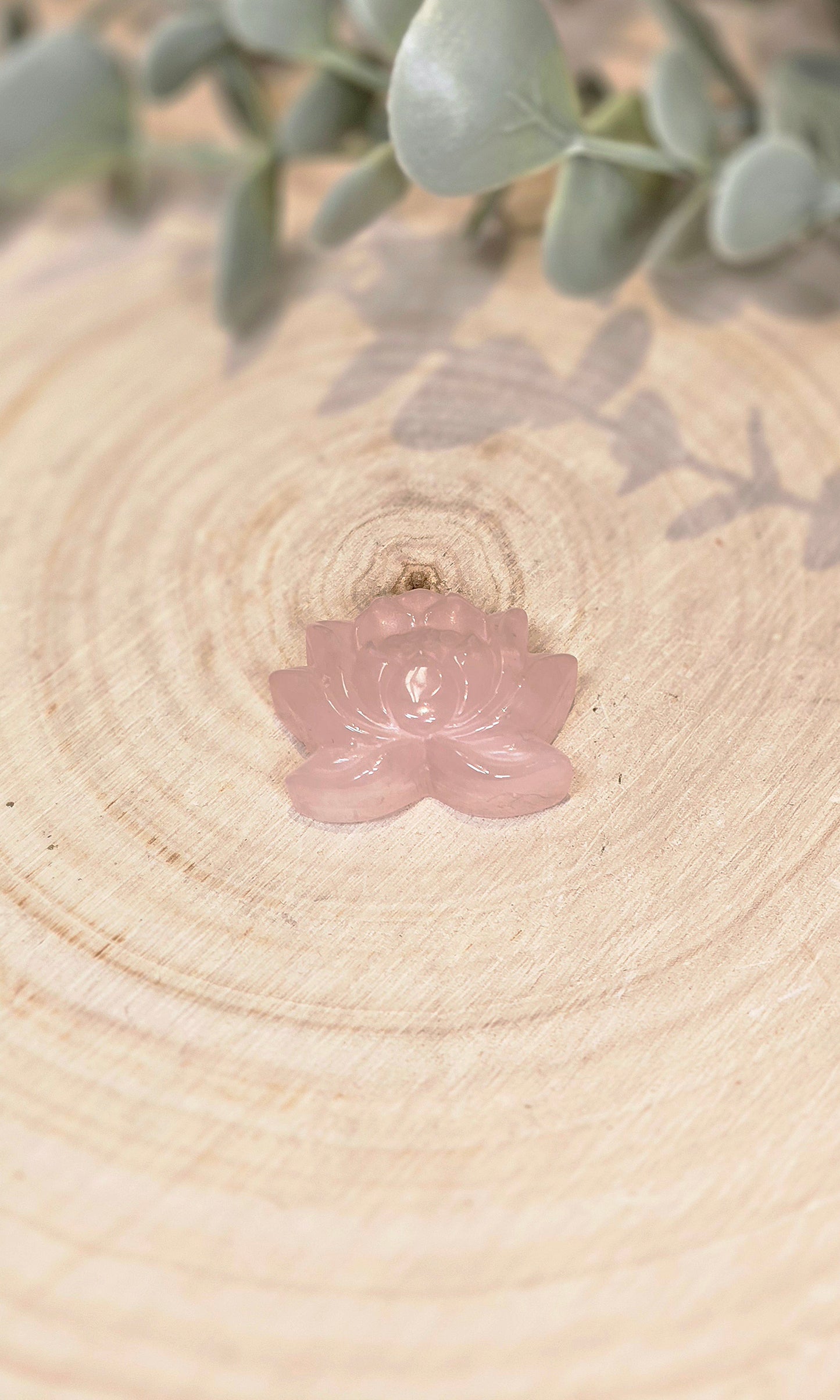 Lotus en Quartz rose