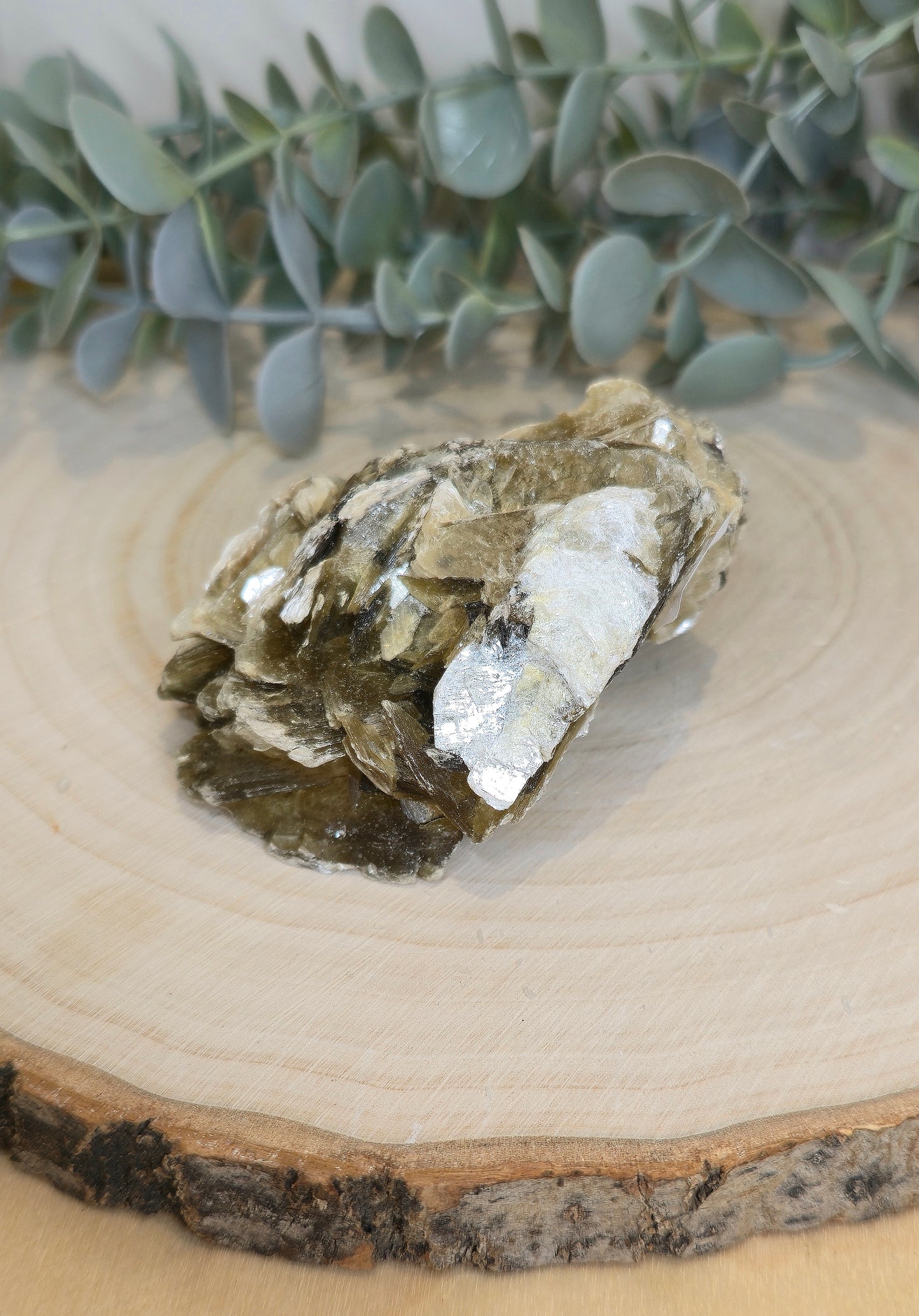 Muscovite du Brésil