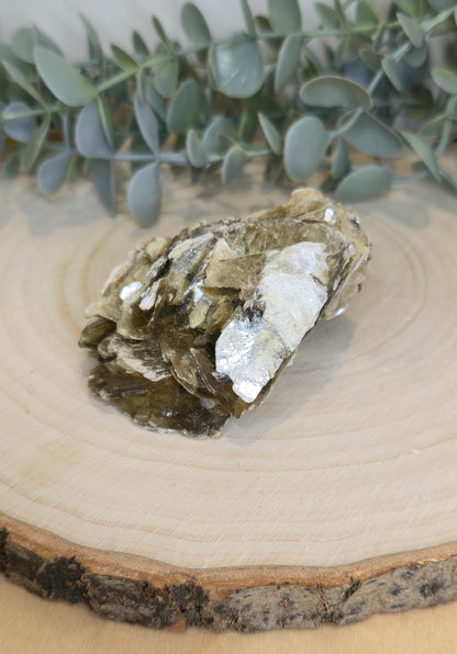 Muscovite du Brésil