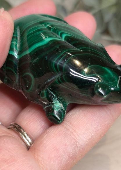 Grenouille en Malachite *réparée*