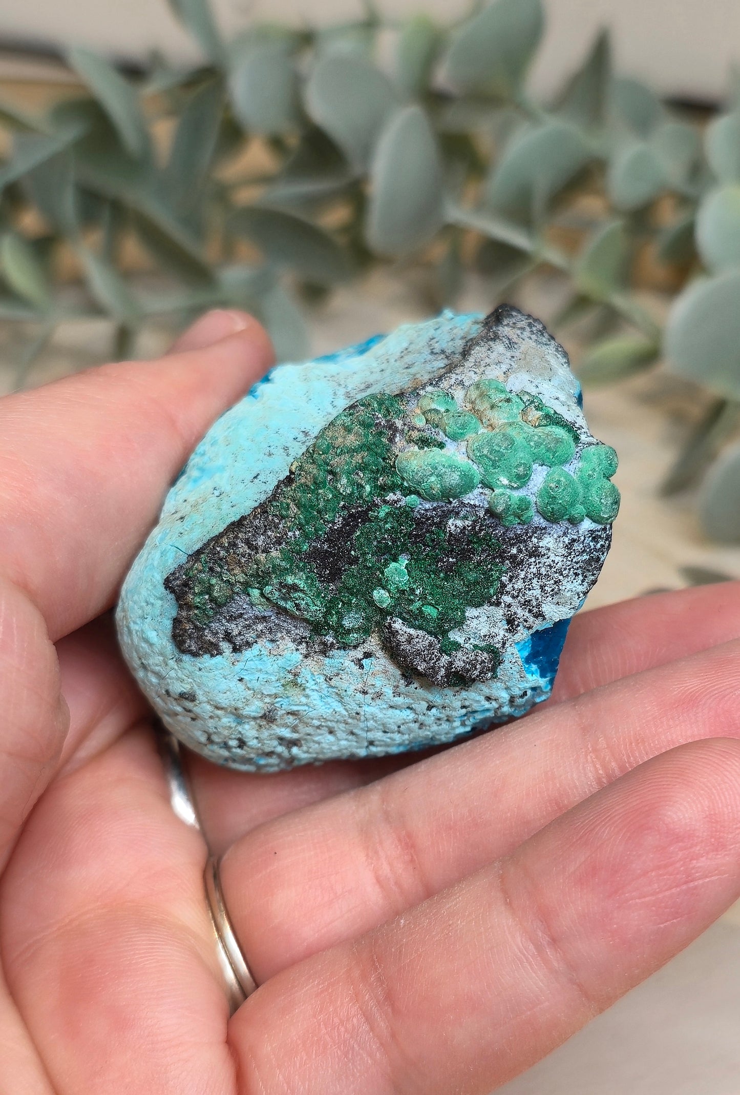 Chrysocolle Malachite du l'Afrique
