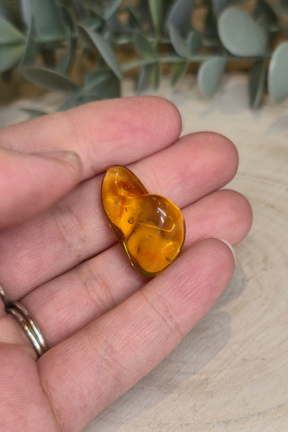 Ambre Baltique barattée