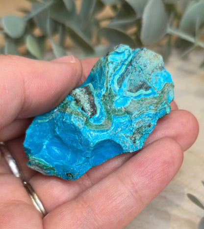 Chrysocolle Malachite du l'Afrique