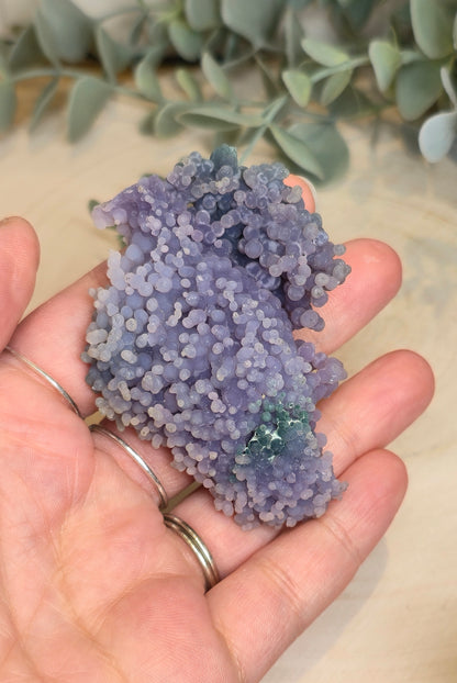 Agate raisin brute