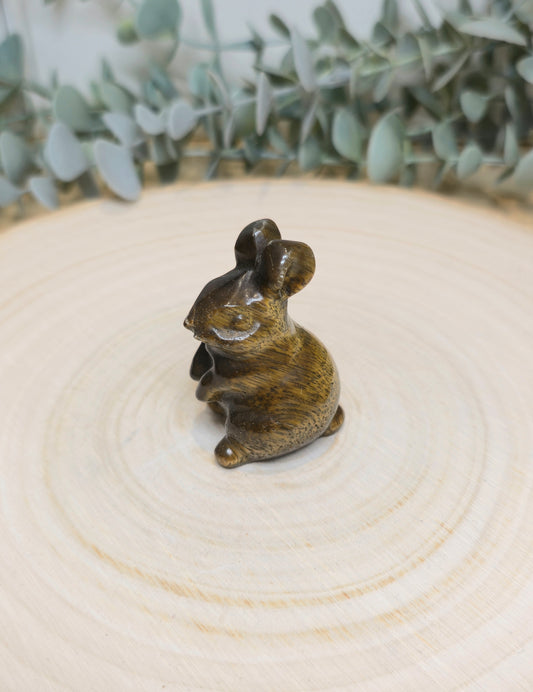 Lapin Oeil de tigre